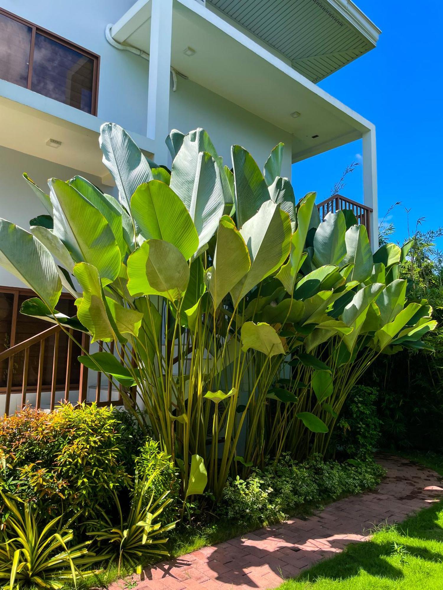 Red Picnic Hostel Panglao Luaran gambar